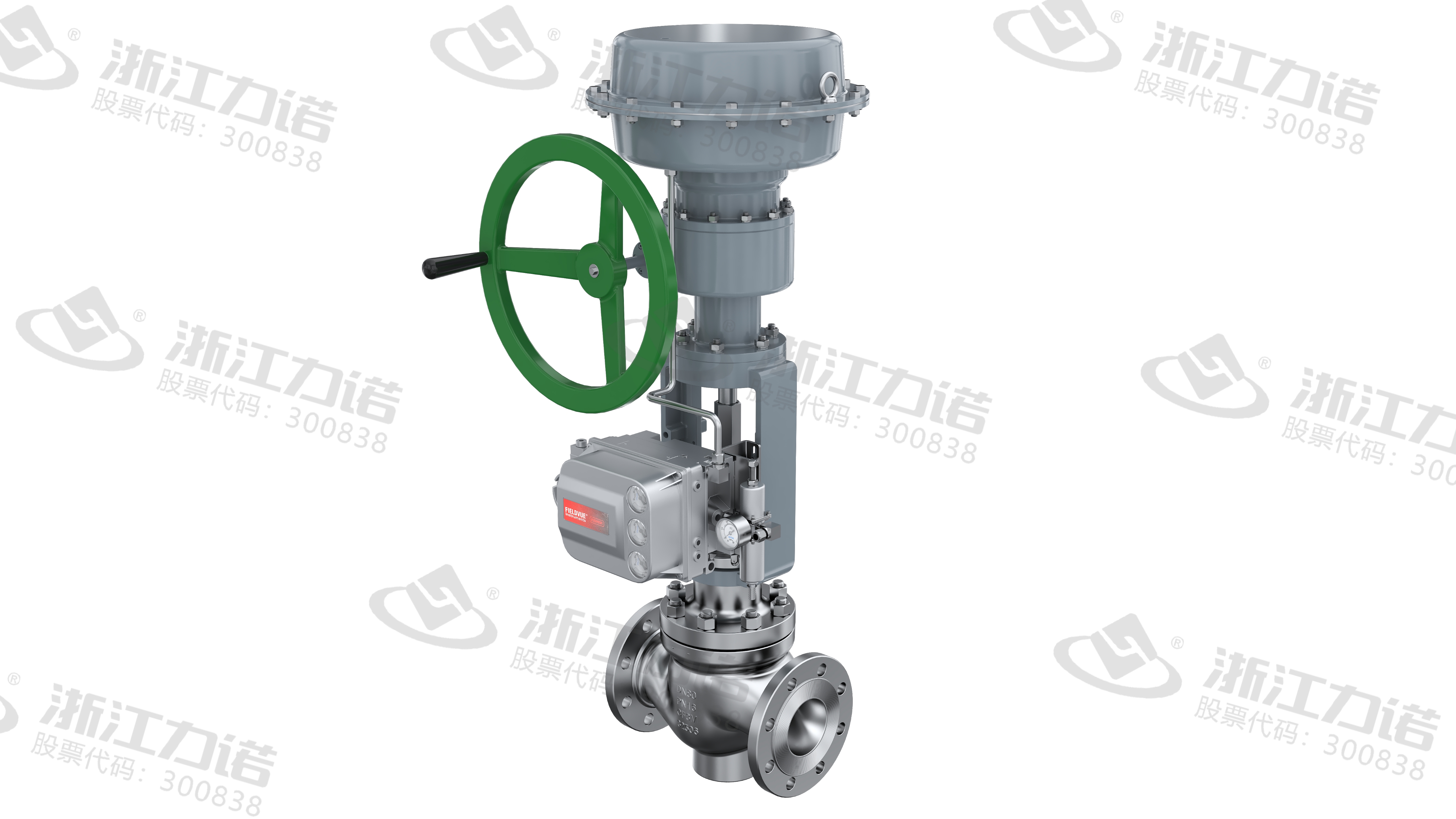 Cage Control Valve